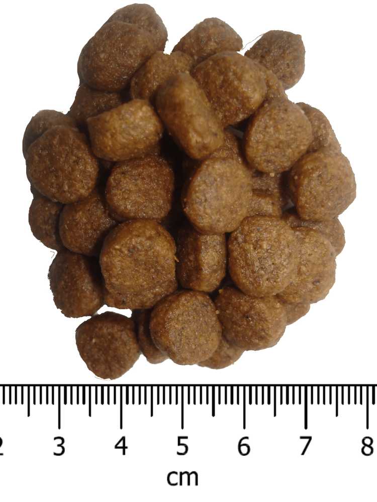 OPTIMAnova dog ADULT MINI 12kg-11077
