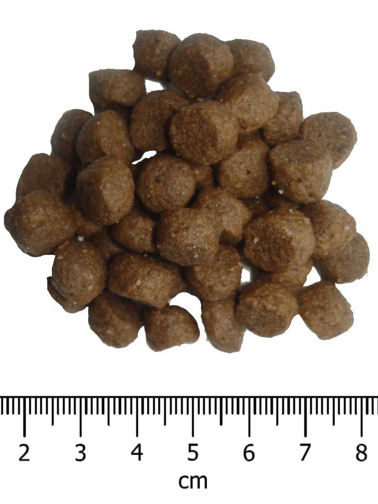 OPTIMAnova dog PUPPY MEDIUM 12kg-11079