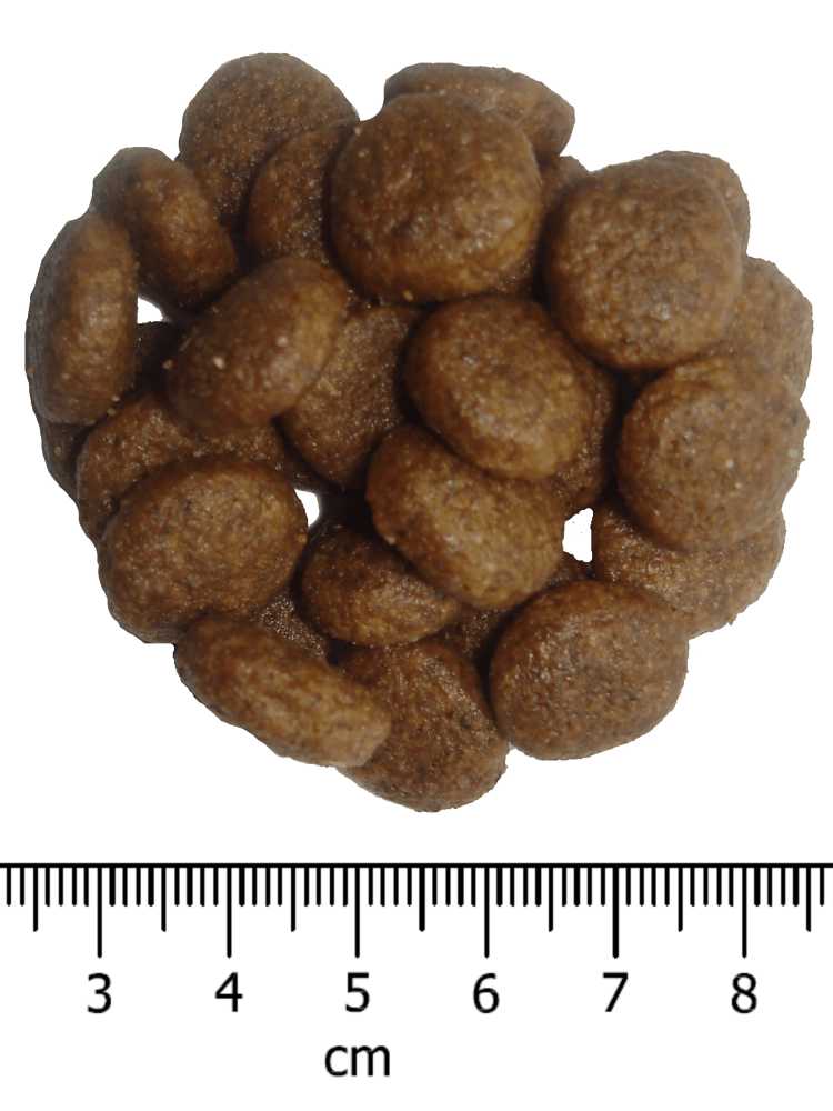 OPTIMAnova dog ADULT MEDIUM 12kg-11081