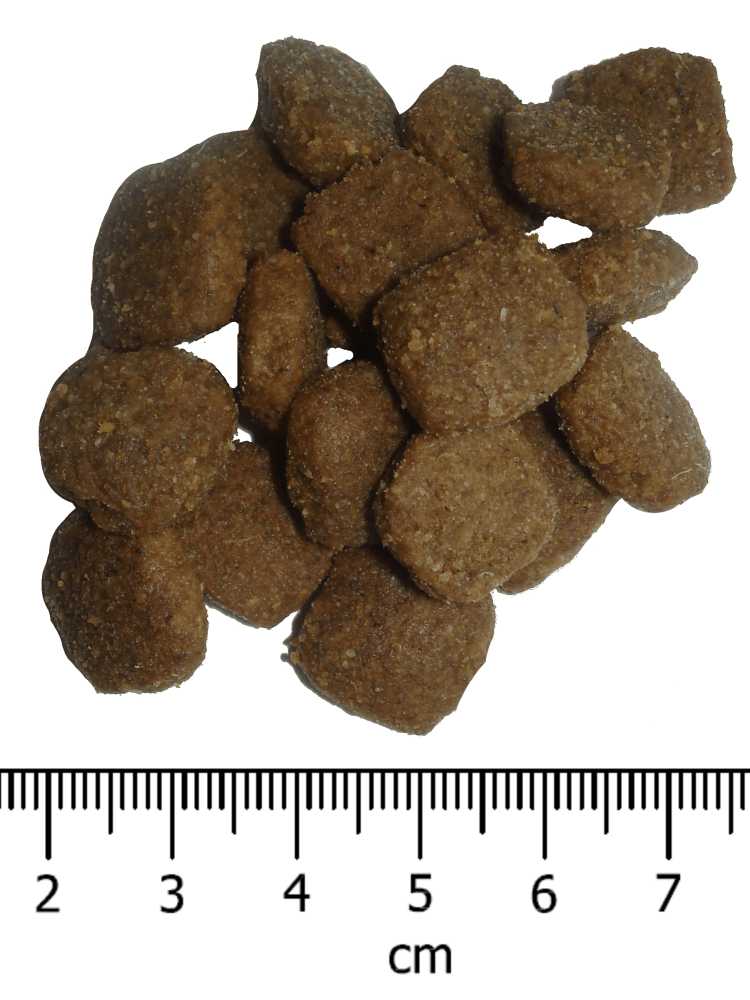 OPTIMAnova dog ADULT ACTIVE 12kg-11095