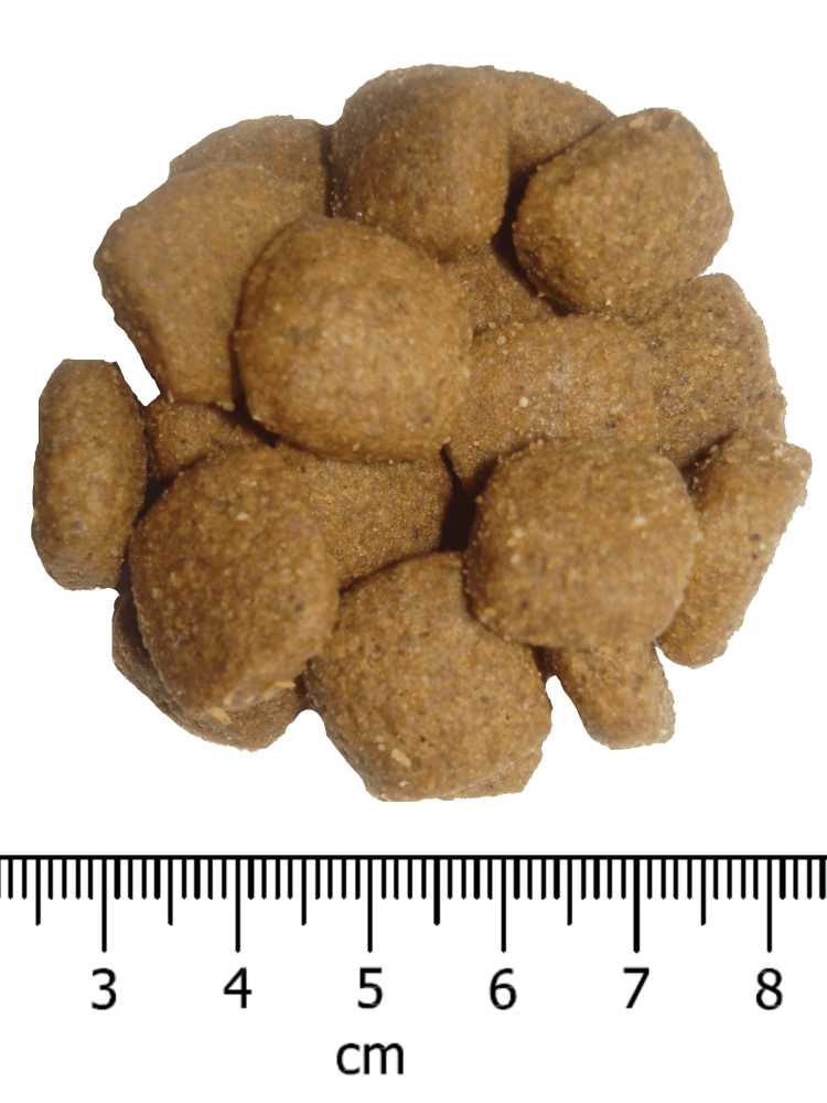 OPTIMAnova dog MOBILITY 2kg-11100
