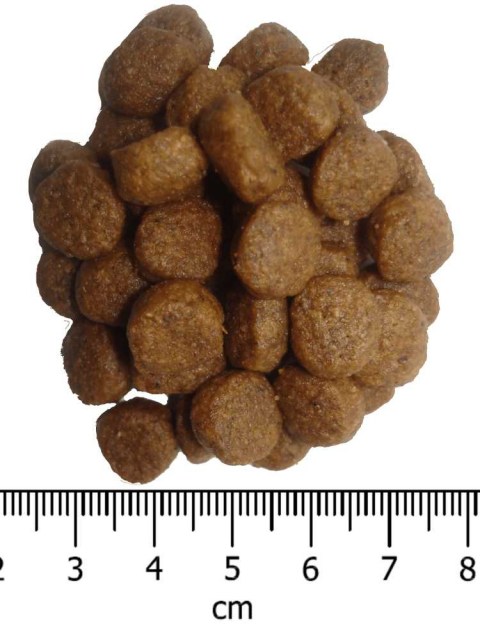 OPTIMAnova dog ADULT MINI 2kg-11076
