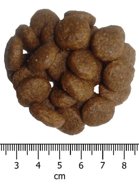 OPTIMAnova dog ADULT MEDIUM 12kg-11081