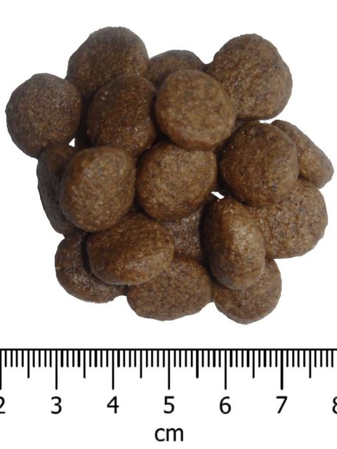 OPTIMAnova dog PUPPY LARGE 12kg-11083