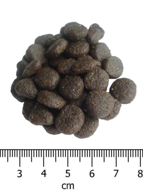 OPTIMAnova CAT RABBIT GRAIN FREE 2kg-11729 