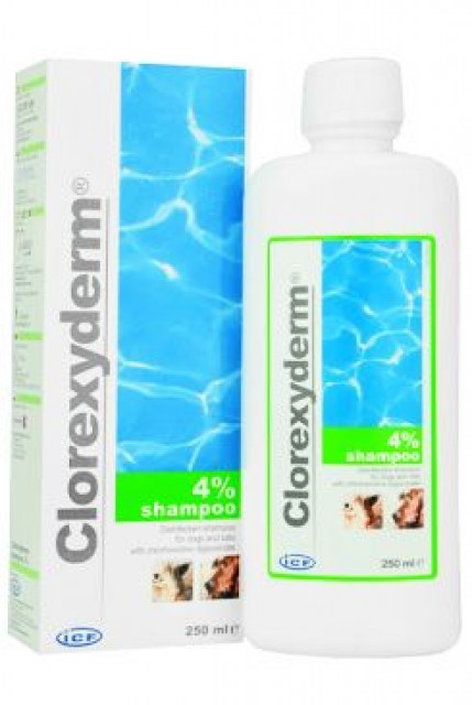 Clorexyderm šampon 4% ICF 250ml