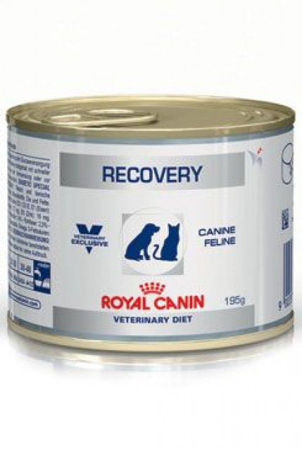 Royal Canin VD Fel / Can Recovery 195g konz