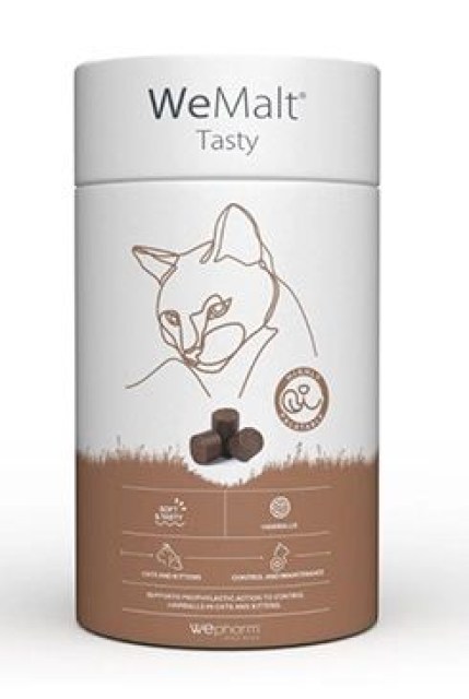 WeMalt Tasty 30ks