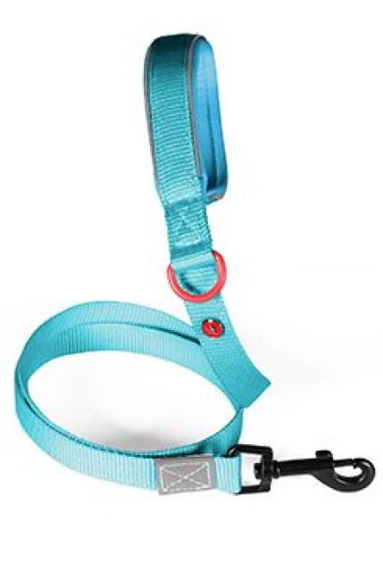 Vodítko pes PREMIUM nylon 20mm/1,2m tyrkysová Zolux