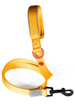 Vodítko pes PREMIUM nylon 15mm/1,2m žlutá Zolux