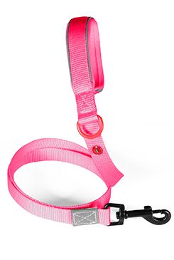Vodítko pes PREMIUM nylon 25mm/1,2m fuchsiová Zolux
