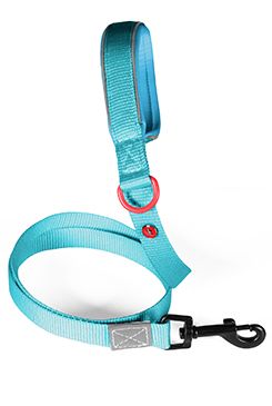 Vodítko pes PREMIUM nylon 25mm/1,2m tyrkysová Zolux